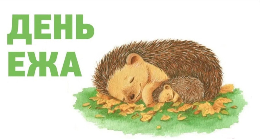 Экскурсия в библиотеку им. Р. Солнцева Экскурсия в библиотеку им. Р. Солнцева.